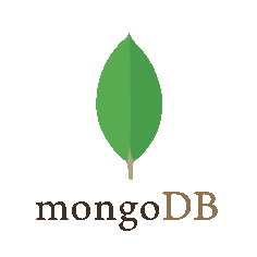 MongoDB skill - Haitham Bradai